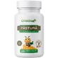 Probiotische Pastura, 60 vegetarische Kapseln, Onedia