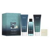 Set Gel de ducha con ácido láctico 75 ml + Crema hidratante corporal con ácido hialurónico 75 ml + Espuma con extracto de pepino 100 ml + Jabón de manos y cuerpo 40 g Sea Kelp, Scottish Fine Soaps
