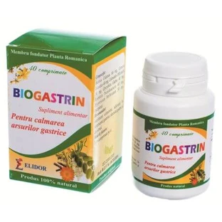Biogastrin, 40 tablets, Elidor
