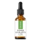 Sérum visage à l'huile d'amande Pouvoir des plantes, 30 ml, Lirene