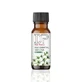 Thyme essential oil, 10 ml, Dotz Pharma