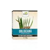 Obligeana Tee, 50 g, Dorel Plant
