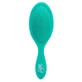 Green Juice Summer Quenchers detangling hair brush, 1 piece, Wet Brush