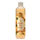 Gember Kombucha gearomatiseerde drank, 500 ml, Eva