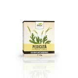 Pedicuta Tee, 50g, Dorel Pflanze