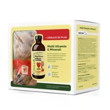 Multivitamine- en mineralenpakket voor kinderen Childlife Essentials, 237 ml + Plush Plus, Secom