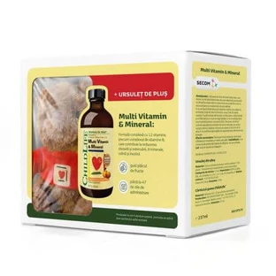Multivitamin- und Mineralienpaket für Kinder Childlife Essentials, 237 ml + Plüsch Plus, Secom