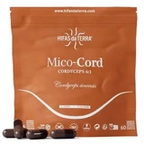 Champignon extract Cordyceps Sinensis Mico Cord, 60 capsules, Hifas da Terra