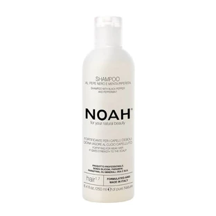Shampoo voor zwak en beschadigd haar (1,7) x 250ml, Noah