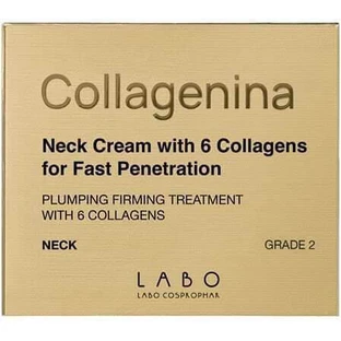 COLLAGENINA Cremă pentru gât de gradul 2 Cremă pentru gât cu 6 molecule de colagen 50ml