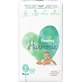 PAMPERS Harmonie No.1 Pampers with adhesive for 2-5kg 50 pieces