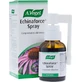 A.Vogel Echinaforce Sore Throat Spray Oral & Pharyngeal Spray For Sore Throat Relief & Immune Support, 30ml
