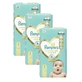 PAMPERS Premium Care Newborn Value Pack No1 Para 2-5kg 150 piezas ( 3 Paquetes de 50 piezas )