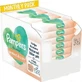 PAMPERS Wipes Baby Harmonie Protect & Care Toallitas para bebés (12 paquetes de 44 piezas) 528 Piezas