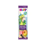 HIPP Kinder Bio-Drachenriegel mit Guave & Aronia Für 3+ Jahre 30g