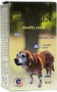 MEDICHROM Bio Glucoren Healthy Joints For Dogs With Joint Problems 40 Tablets