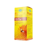 ESI Propolis Balsamico Sirup für Husten und Erkältung 180ml