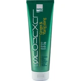 INTERMED Luxurious Rich Moisturizing Body Wash with Ginger & Ylang Ylang Moisturizing Body Wash, 300ml