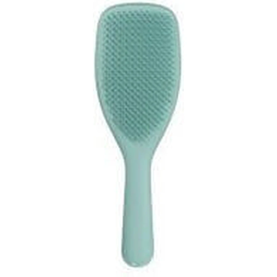 AMBITAS Tangle Teezer Wet Detangling Marine Teal (Large Size) Hair Brush Ideal For Thick - Curly - Long Hair