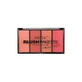 TECHNIC Blush Palette Palette met blush in 4 verschillende tinten 20g