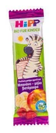 HIPP Bio Baby Fruit Bar Banana-Melon-Blueberry-Blueberry From 1 Year 23g