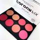 TECHNIC Colour Fix Blush Palette Blush Palette 8 Shades 28gr