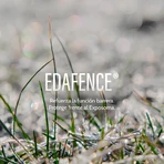 Edafence Endocare Radiance Ferulic Serum C, 30 ml, Cantabria Labs