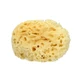 GERAKIOS Esponja de Mar 100% Natural No95 Tamaño Grande