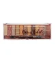 TECHNIC Eyeshadow Pressed Pigment Palette in 12 shades Paris