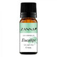 Aceite esencial de eucalipto, 10 ml, Zanna