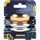 AMBITAS Invisibobble Hairtie Aurora Radiance