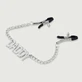 Nipple Clamps With Chain &amp; DADDY Tag - Silver