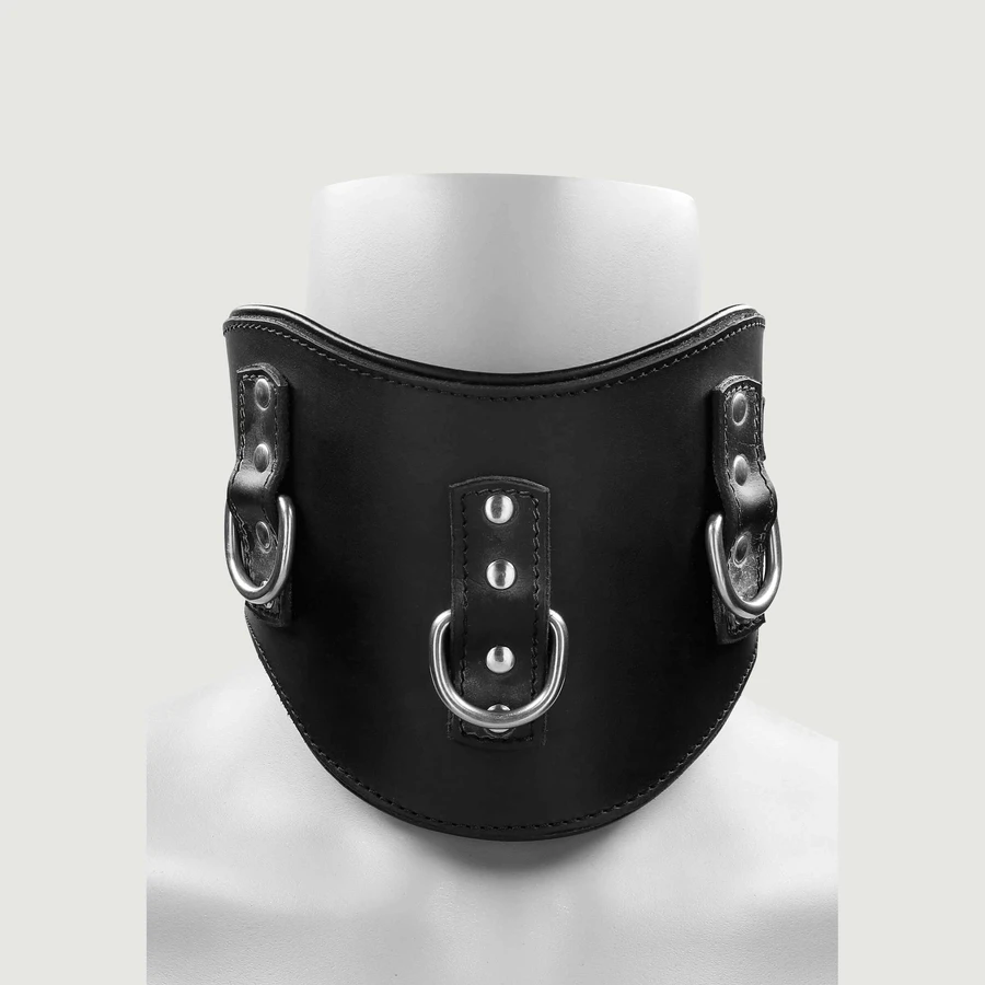 Gewatteerde Posture Collar - Zwart