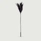 Long Feather Tease Series Midnight Feather Sensory Wand - Black