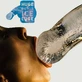 Huge Penis Ice Luge Freeze At Home
