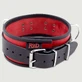 Leather Collar with D Rings - Red/Black