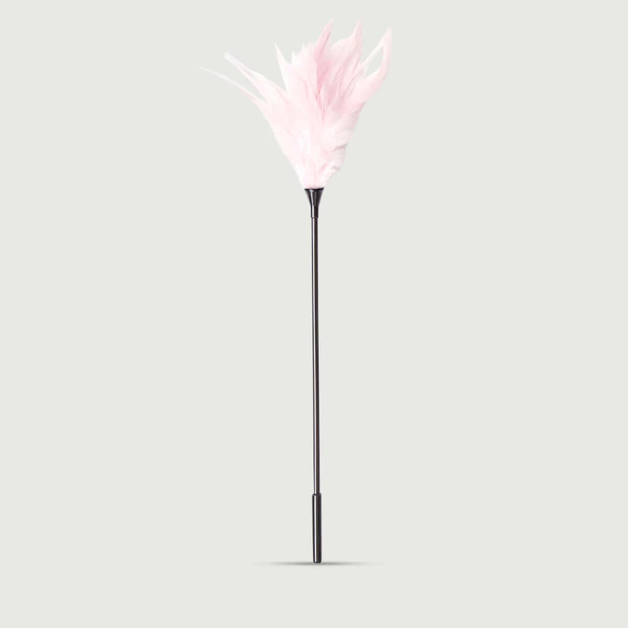 Long Feather Tease Series Pink Feather Sensory Teaser - Pink
