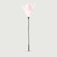 Long Feather Tease Series Pink Feather Sensory Teaser - Pink