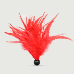 Small Red Feather Tickler With Black Base - Red