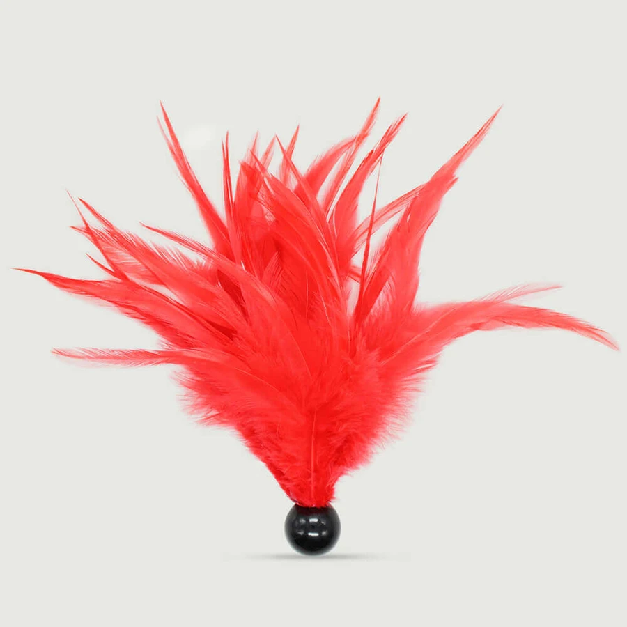 Small Red Feather Tickler With Black Base - Red