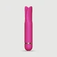 Erika Mini Siliconen 10-Functie Vibrator - Rood