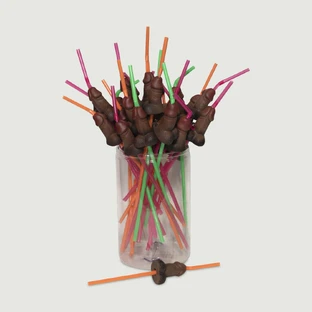 Dick Straw - Brown