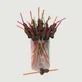 Dick Straw - Braun