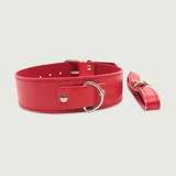 Halsband Met Afneembare Leiband - Rood