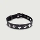 Leren halsband met studs en gesp - zwart