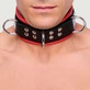 Leather Collar with D Rings - Black/Red