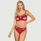 Exquisite Lace Appeal Deep V Mini Temptation Bra Set - Red - One Size