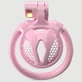 CockLock Sissy Belia Chastity Cage 2.5 x 3 cm - Pink