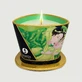 Shunga Massage Exotic Green Tea - 170 ml