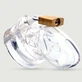 CockLock Mini Locky Keuschheitskäfig 6 x 3,2 cm - Transparent